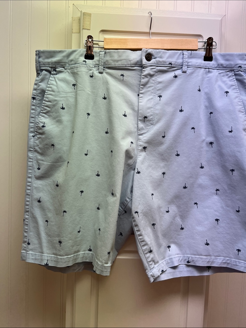 GAP Men's Light Blue & Pale Mint Palm Embroidered Shorts